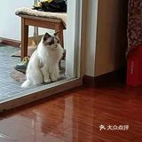 每次都看它一脸享受的样子，哈