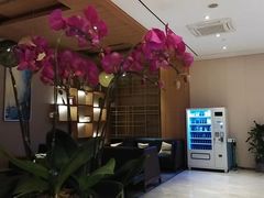 -JOYA湾悦国际酒店(世界之窗店)