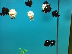 -北戴河圣蓝海洋公园