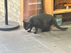 -镇江龙·火锅串串(武侯祠店)