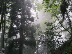 -南岳衡山风景名胜区