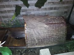 -韵秋荷(宝山龙湖天街店)