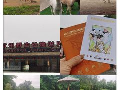 -杭州野生动物世界