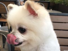 -PETIT PARIS 小巴黎(凯德1818店)