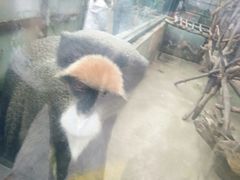 -无锡动物园·太湖欢乐园