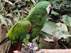 -南宫五洲植物乐园