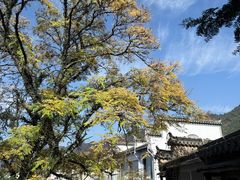-塔川景区