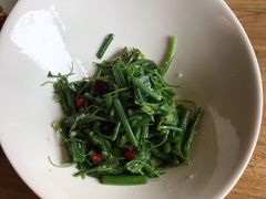 炝拌龙须菜-東舍食唐精品陕菜馆
