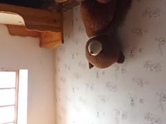 -金山农民画村-枫泾波兰倒置屋