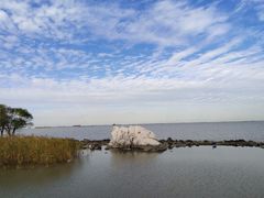 -上海吴淞炮台湾国家湿地公园