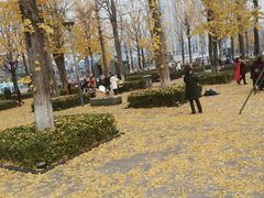 -两江幸福广场