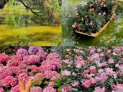 -人民公园(罗湖区)