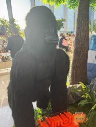 -IMON·HANSA潮玩玩偶毛绒玩具(通州万象汇店)