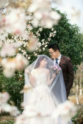 点击看大图 -太郎花子婚纱摄影艺术中心