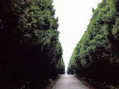 -秦始皇帝陵博物院-丽山园
