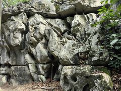 -灵隐飞来峰景区