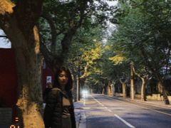 -古董花园(思南路42弄小区店)