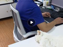 -北京观赏动物医院·24小时大型综合·猫专科·异宠专科