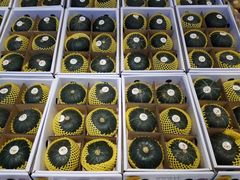 -水果天空(东葛店)