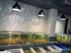 大堂-海鲜e族(马王堆店)