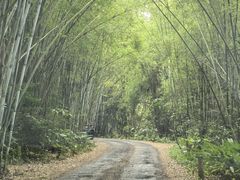 -海南热带野生动植物园