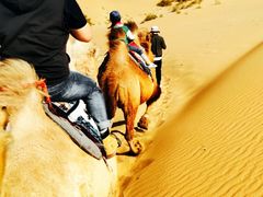 -亿利库布其七星湖沙漠生态旅游区