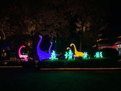 -森波拉火山温泉