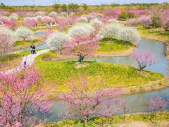 -花开海上生态园
