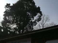 -紫金山天文台