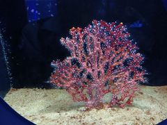 -欢乐海岸海洋奇梦馆