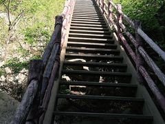 -北京凤凰岭