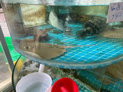 -明记海鲜美食老字号(明记总店)