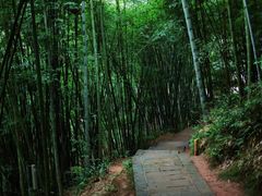 -蜀南竹海景区