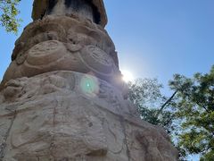 -大槐树寻根祭祖园
