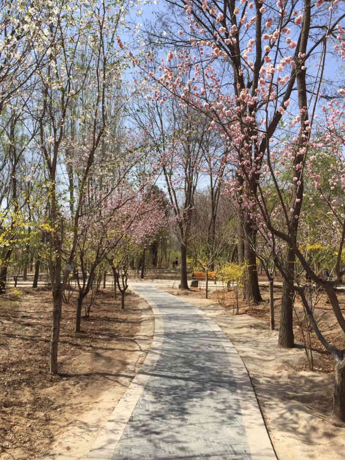 蘭州植物園-