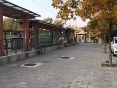 -玉泉公园