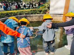 -魔力熊儿童早教托育中心(硚口同馨店)