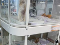 -翊宠yipet猫狗购宠庄园犬舍•猫舍