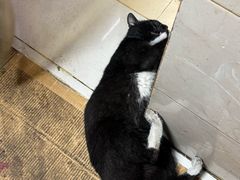 -南湖胖子砂锅(南湖店)