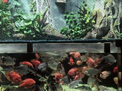 -太平洋海底世界