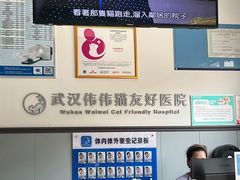 -伟伟宠物医院·瑞派猫友好医院·猫科(光谷店)