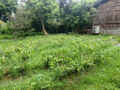 -福建鲤鱼洲酒店