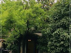 -得丘礼享谷·玉兰苑