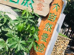-大自然素食(望桐路店)