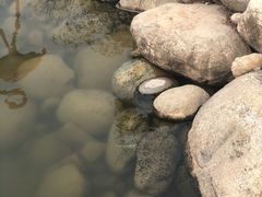 -茯茶镇
