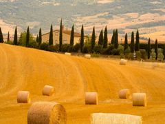 -牧歌KTV(广济南路店)