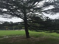 -御花园·粤菜·海鲜火锅(中山公园店)