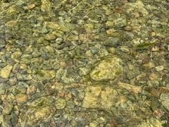 -淇河国家湿地公园