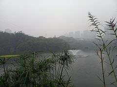 -重庆彩云湖湿地公园