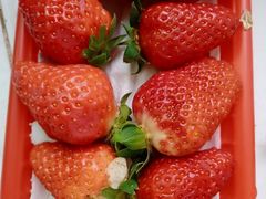 -神农美特好生鲜超市(三墙店)